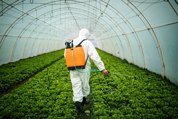 Best Affordable Pest Control Services  in Fox Lake, IL
