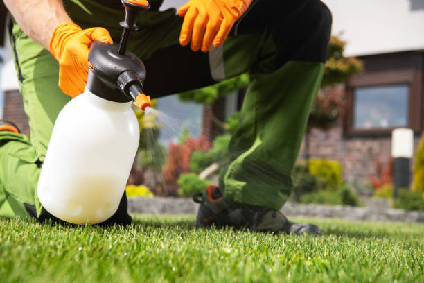 Best Affordable Pest Control Services  in Fox Lake, IL