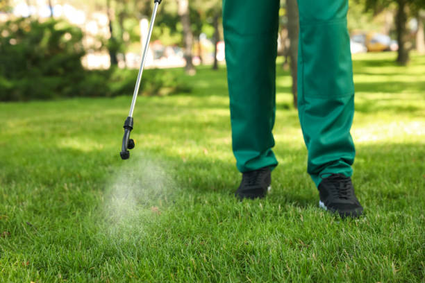 Best Pest Control for Homes  in Fox Lake, IL