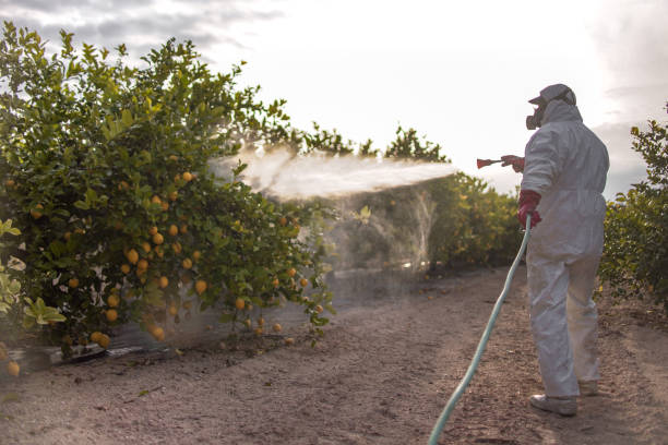 Best Mosquito Control Services  in Fox Lake, IL