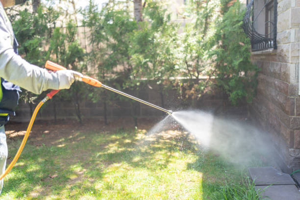 Best Best Pest Control Companies  in Fox Lake, IL