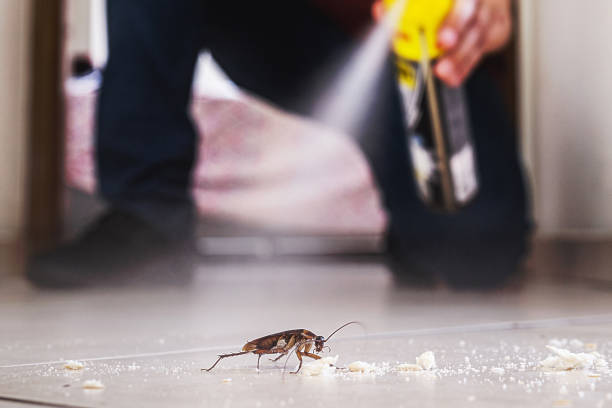 Best Emergency Pest Control  in Fox Lake, IL