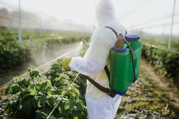 Best Flea Control Services  in Fox Lake, IL